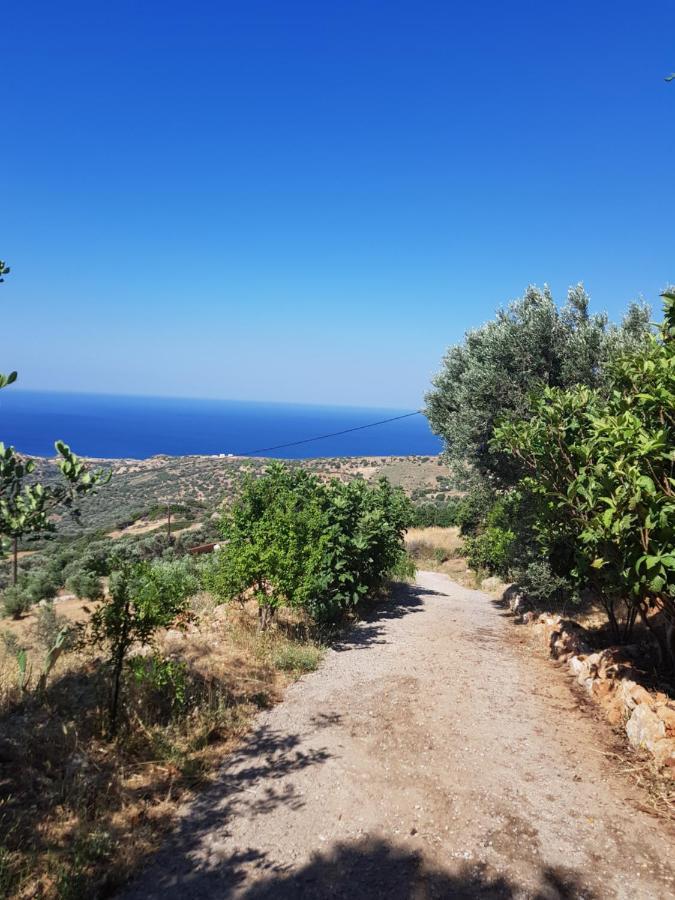 Villa Ikarus Τριόπετρα Εξωτερικό φωτογραφία
